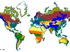 o_Biomas del Mundo II